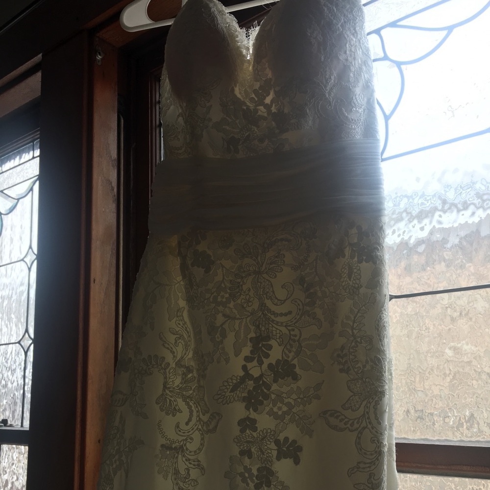 Wedding Dress - Pronovias Ariella Dress - Picture 2 of 8